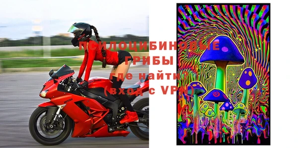 ешки Ладушкин